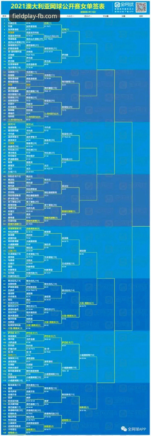 FB体育平台移动端全面评测：从下载到上手的完整指南